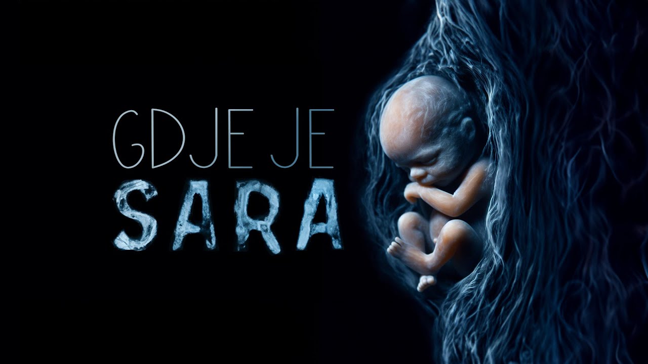 Godinu dana kasnije: nadležni i dalje ne znaju gdje je Sara